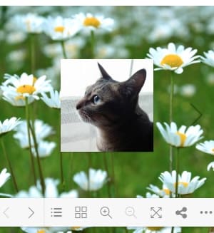 プラグインPDF FlipBook 背景画像設定イメージ