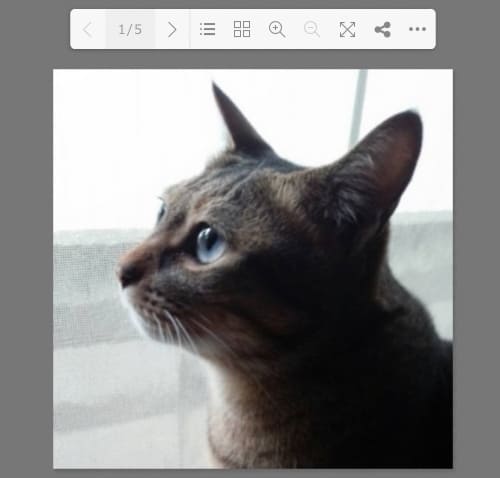 プラグインPDF FlipBook ツールバー設定イメージ